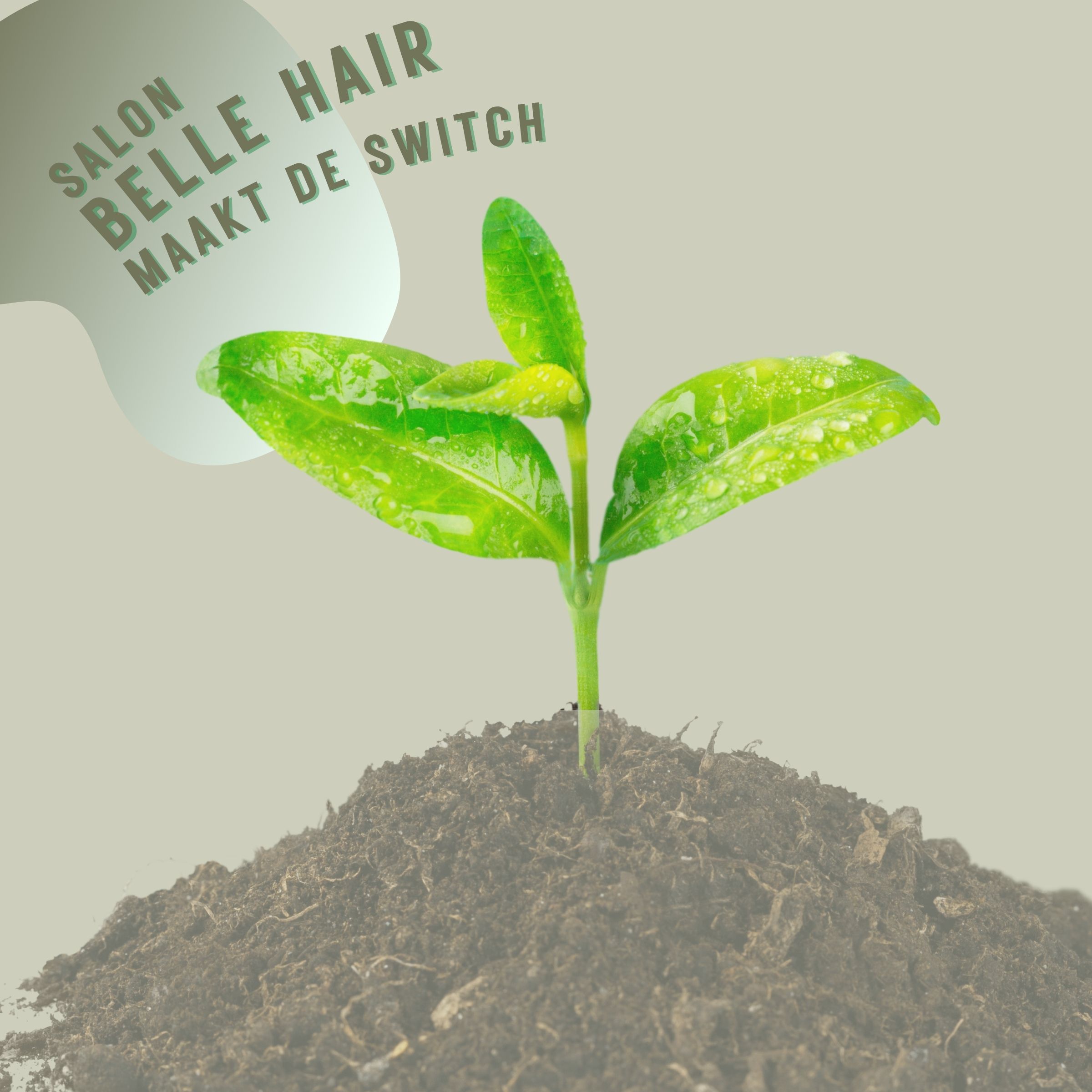 Maak je van duurzaamheid een punt?